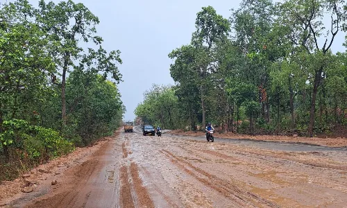 शहडोल से उमरिया के बीच 73 किलोमीटर सडक़ 9 साल में नहीं बनी