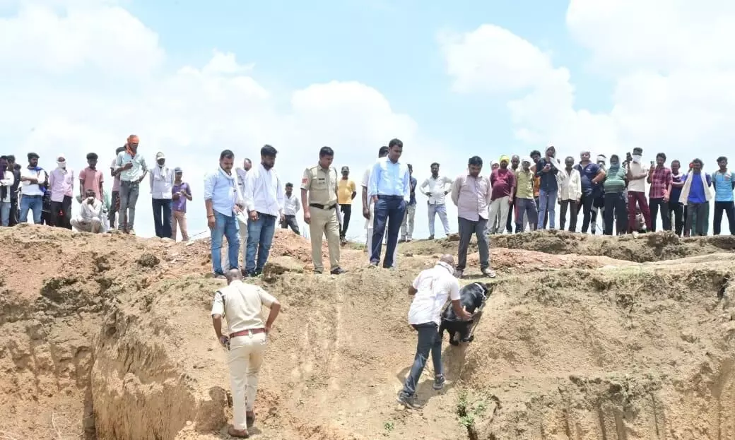 जमीन के विवाद में मारपीट, एक ही परिवार के 7 घायल जमीन के विवाद में मारपीट, एक ही परिवार के 7 घायल