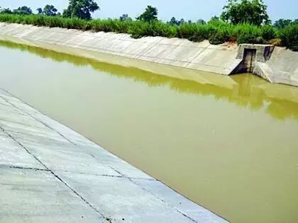 चंद्रपुर के आसोलामेंढा नहर के ठेकेदार पर अब तक 41 करोड़ का जुर्माना चंद्रपुर के आसोलामेंढा नहर के ठेकेदार पर अब तक 41 करोड़ का जुर्माना