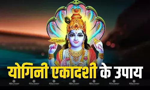 योगिनी एकादशी पर करें कोई एक उपाय, लक्ष्मी नारायण की कृपा से दूर होंगी समस्याएं