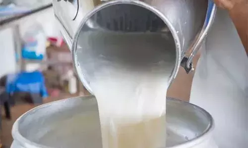 दुग्ध संघ चुनाव में नाना पटोले और भोंडेकर के गठबंधन से बने नए समीकरण
