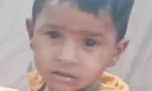 बीड में घर में खेल रही मासूम बच्चे की सांप के डसने से हुई मौत