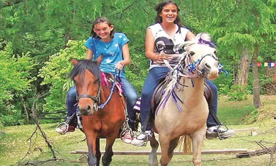 पेंच के जंगल में जल्द शुरू होगी हॉर्स राइडिंग, पर्यटकों को मिलेगा अनोखा अनुभव पेंच के जंगल में जल्द शुरू होगी हॉर्स राइडिंग, पर्यटकों को मिलेगा अनोखा अनुभव