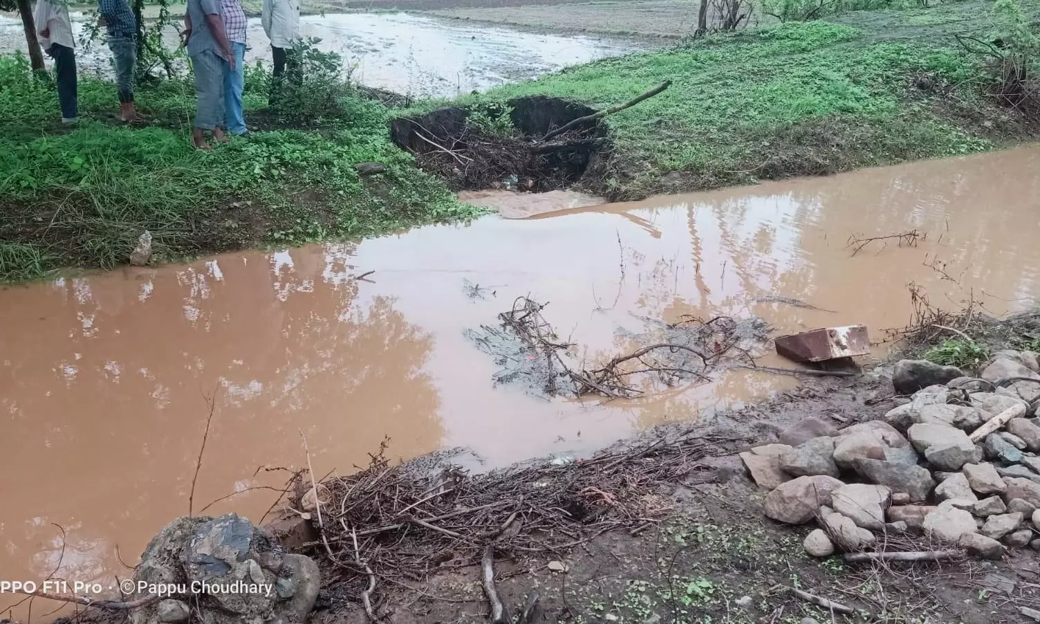 पालाखेड़ में नहर फूटी, खेतों में पानी भरने से फसल हुई चौपट पालाखेड़ में नहर फूटी, खेतों में पानी भरने से फसल हुई चौपट