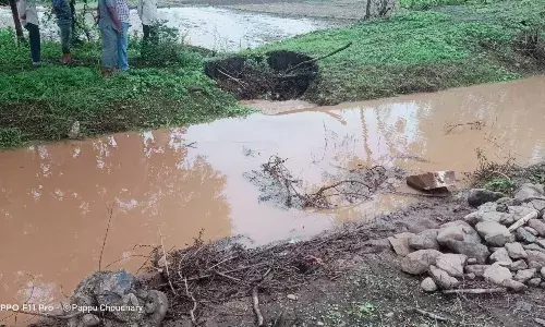पालाखेड़ में नहर फूटी, खेतों में पानी भरने से फसल हुई चौपट