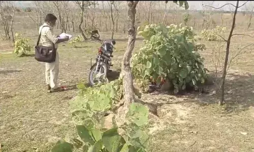 कटनी के लेबर कांट्रेक्टर की हत्या ! जंगल में मिली अर्धनग्न लाश