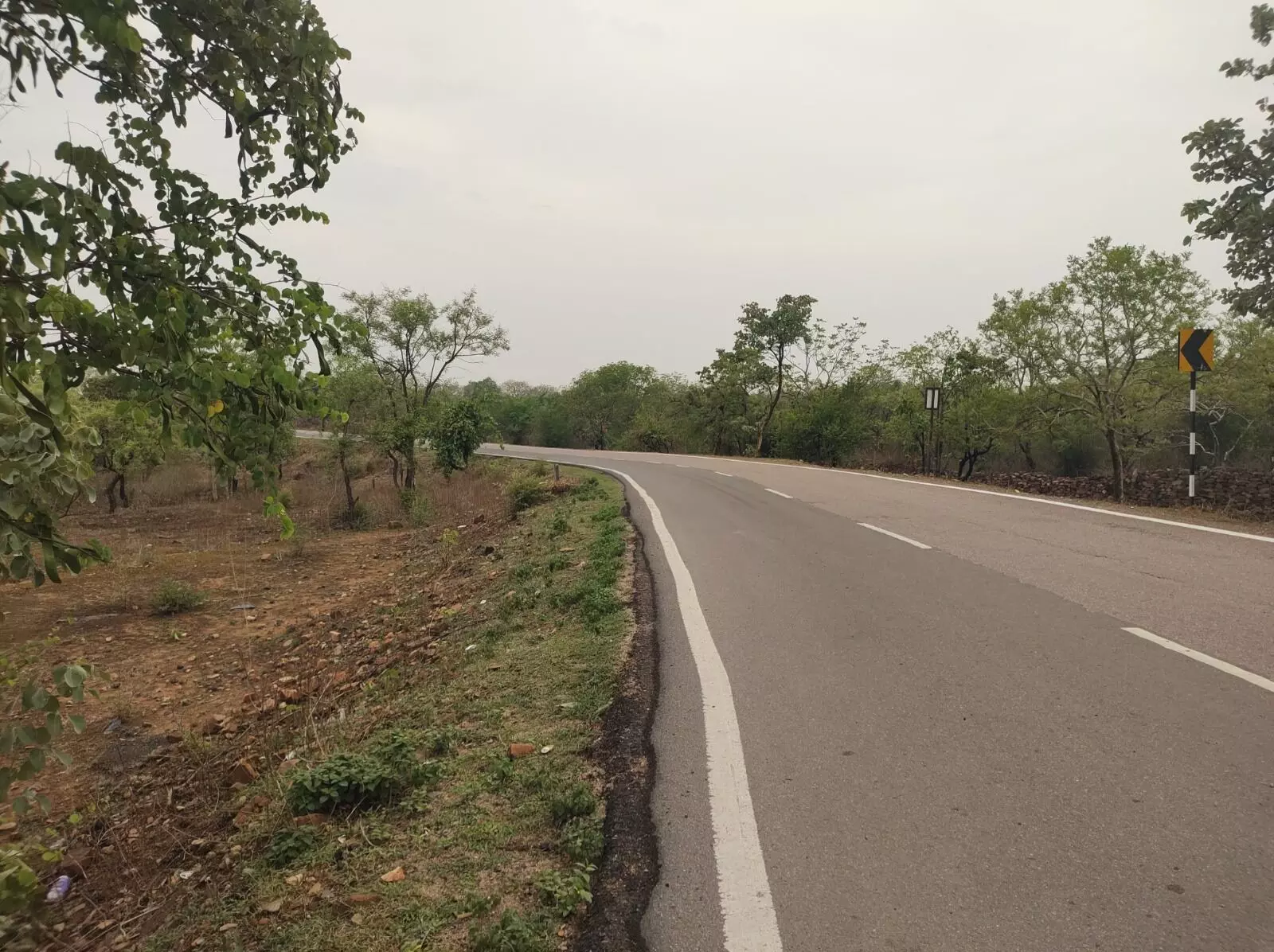 पन्ना-अमानगंज टोल रोड बनी हादसों का सबब, शोल्डर गायब, जानलेवा मोड़ एमपीआरडीसी और टोल कंपनी पर निष्क्रियता का आरोप पन्ना-अमानगंज टोल रोड बनी हादसों का सबब, शोल्डर गायब, जानलेवा मोड़ एमपीआरडीसी और टोल कंपनी पर निष्क्रियता का आरोप