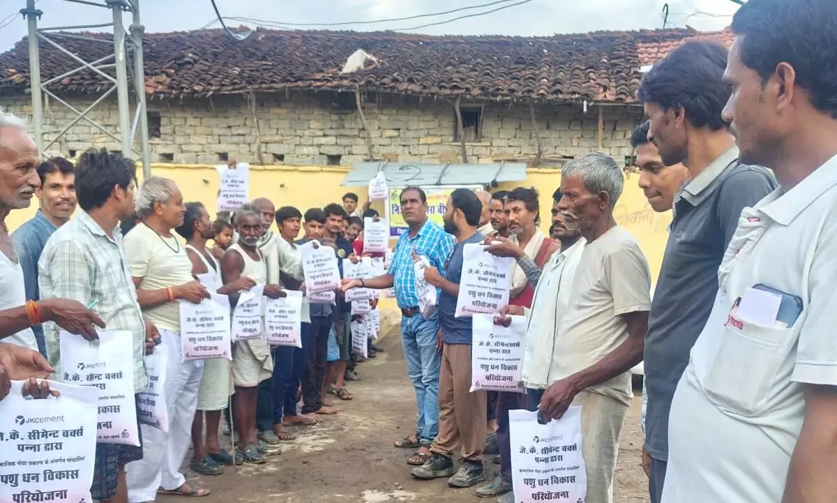 जेके सीमेण्ट द्वारा सीएसआर ने ग्राम ककरा में किसानों को वरसीम का चारा किया वितरित जेके सीमेण्ट द्वारा सीएसआर ने ग्राम ककरा में किसानों को वरसीम का चारा किया वितरित