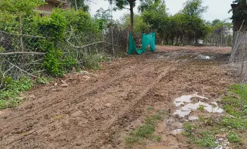 कीचड़ से दलदल में तब्दील हुआ सड़क मार्ग, सीसी सड़क बनाये जाने लोगों की मांग