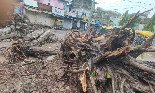 प्राचीन वटवृक्ष को मध्य रात्रि में अज्ञात व्यक्तियों द्वारा गिराये जाने की शिकायत