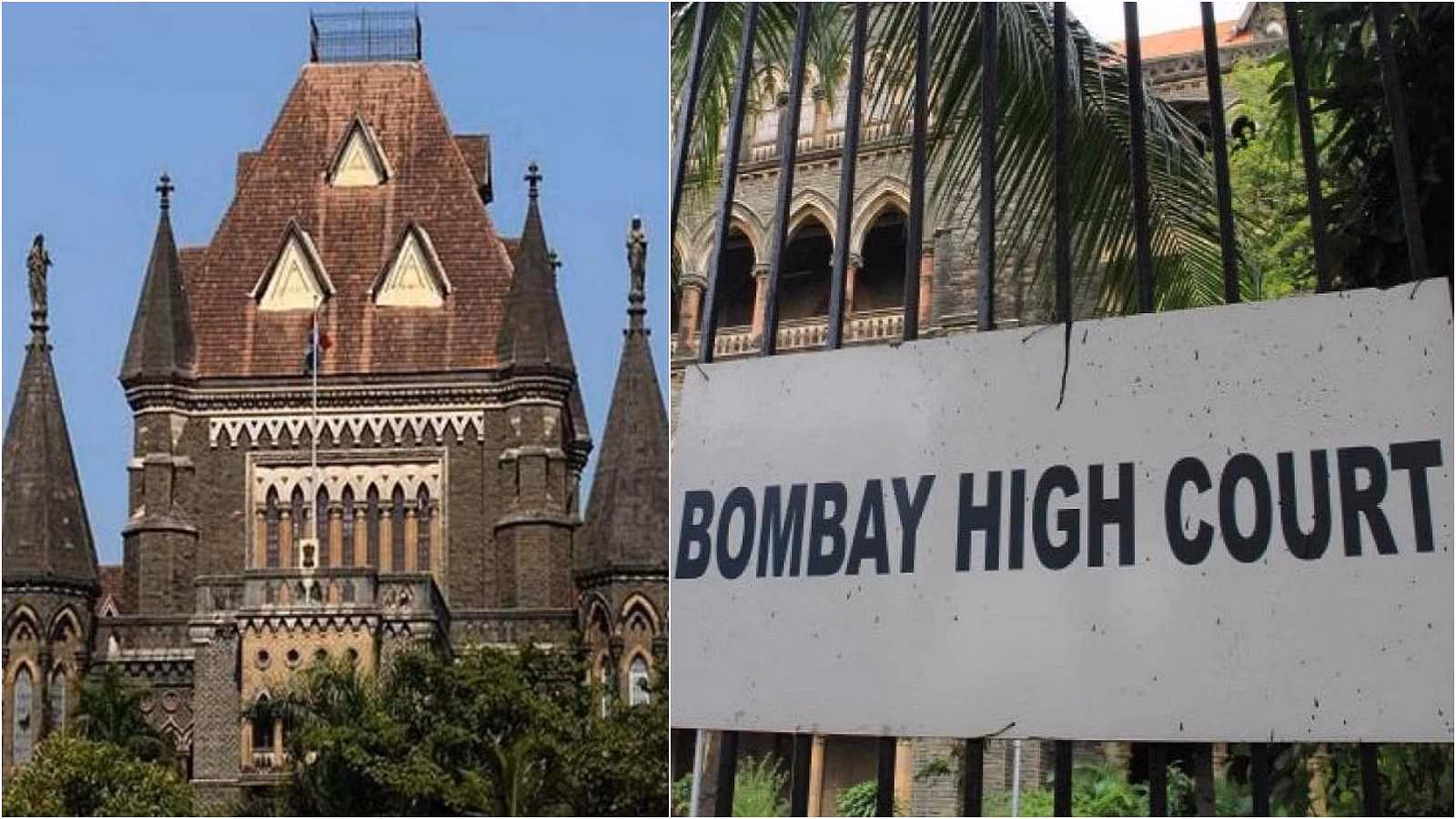 आजमी के खिलाफ एफआईआर पर सरकार समेत दो शिकायतकर्ताओं को नोटिस, पीओपी मूर्ति विसर्जन की पॉलिसी बनाने मांगा समय