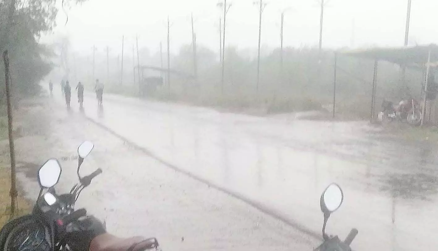 भंडारा जिले में झमाझम बारिश से कृषि कार्यों में आयी तेजी भंडारा जिले में झमाझम बारिश से कृषि कार्यों में आयी तेजी