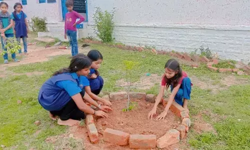 स्कूल में हर बच्चे और शिक्षक का है एक पौधा, बढ़ रही हरियाली की अनोखी परंपरा