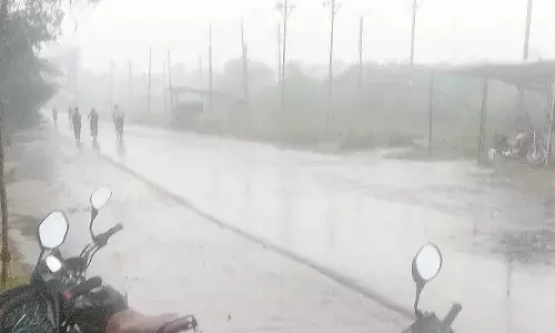 भंडारा जिले में झमाझम बारिश से कृषि कार्यों में आयी तेजी