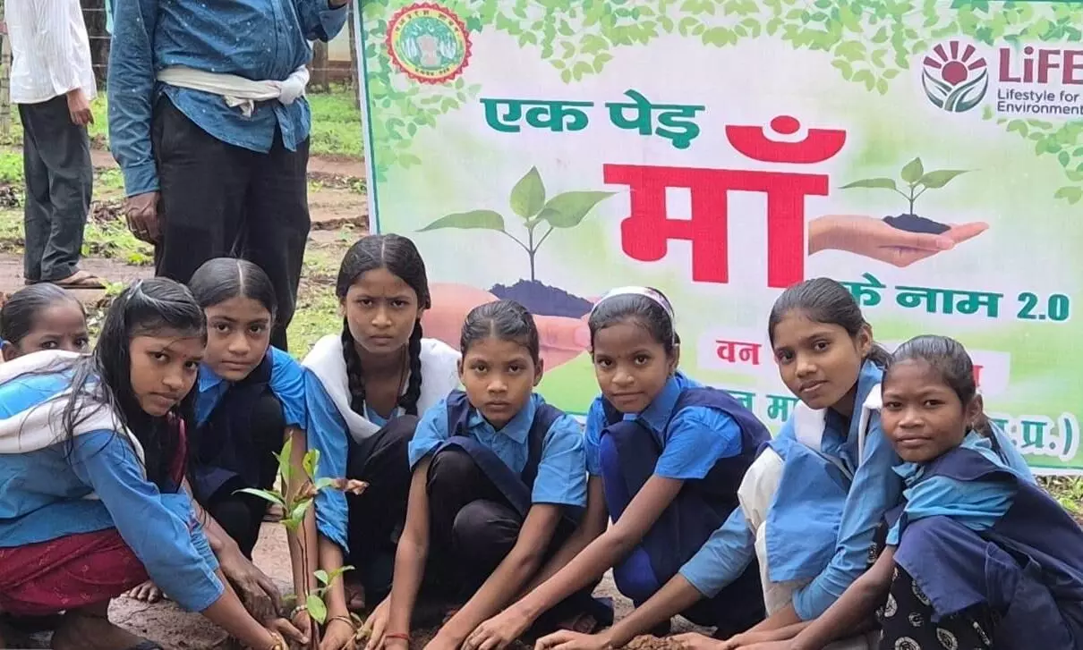 कल्दा वनपरिक्षेत्र में वन विभाग कर्मियों ने बच्चों व ग्रामीणों के साथ किया पौधारोपण कल्दा वनपरिक्षेत्र में वन विभाग कर्मियों ने बच्चों व ग्रामीणों के साथ किया पौधारोपण