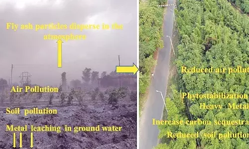 ईआरटी मॉडल : फ्लाईएश प्रदूषित भूमि को मिलेगा नया जीवन