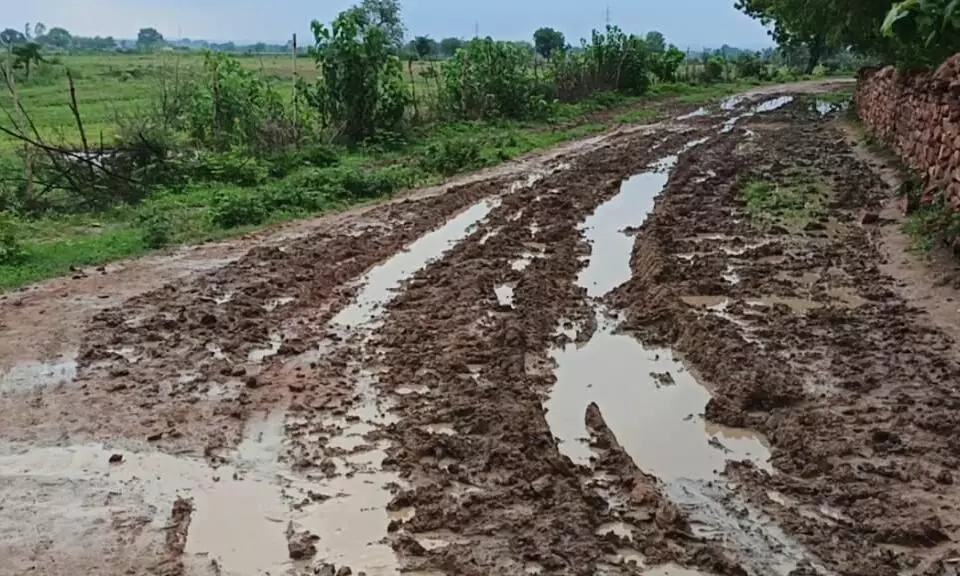 सड़क नहीं बनने से ग्राम शाहपुर की आदिवासी बस्ती मुनगहा के ग्रामीण परेशान सड़क नहीं बनने से ग्राम शाहपुर की आदिवासी बस्ती मुनगहा के ग्रामीण परेशान