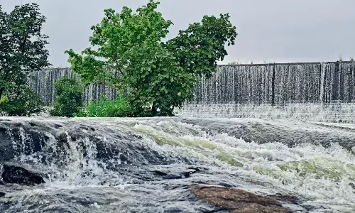 नर्मदा का जल स्तर 10 फीट बढ़ा, बांध के 4 गेट और खोले गए