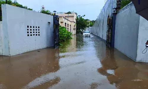 नगर पालिका में भर्राशाही से नागरिकों को नुकसान और अध्यक्ष लिख रहे सीएम को चिट्ठी नगर पालिका में भर्राशाही से नागरिकों को नुकसान और अध्यक्ष लिख रहे सीएम को चिट्ठी