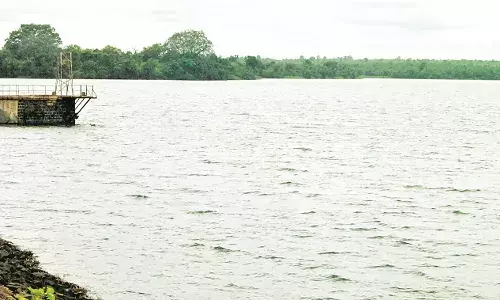 अंबाझरी तालाब वेट लैंड नहीं, कोर्ट में जिलाधिकारी का शपथ-पत्र