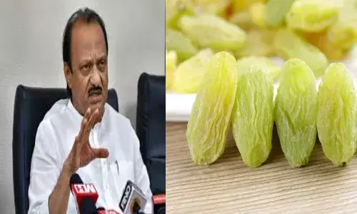 अजित पवार ने चीन से हो रहे किशमिश के अवैध आयात पर रोक लगाने की मांग की