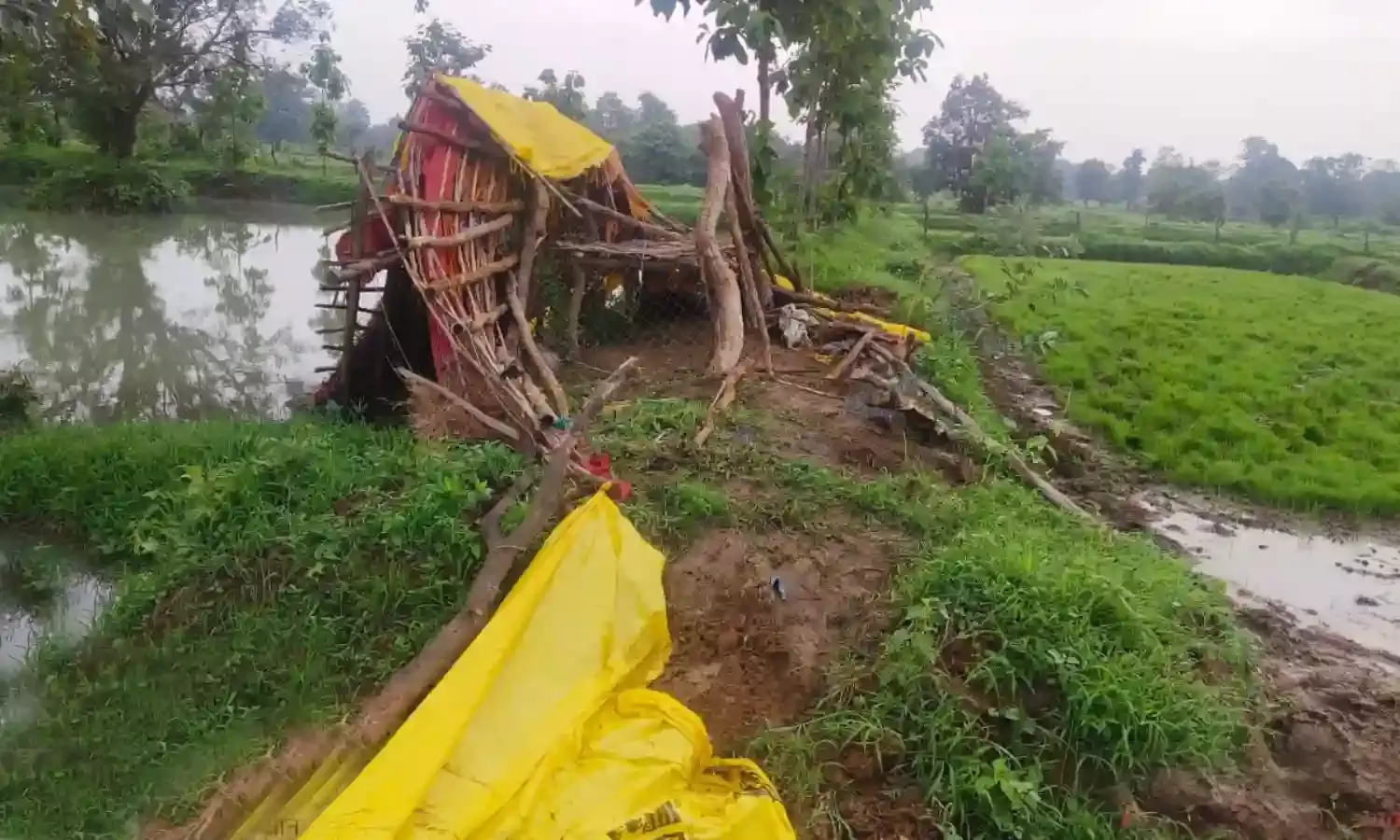 गड़चिरोली जिले के देलोड़ा में जंगली हाथियों ने मचाया उत्पात