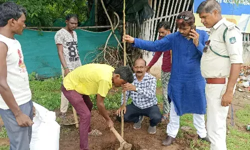 श्री प्राणनाथ ग्रीन कॉरिडोर में लगाएं जा रहे हैं पौधे