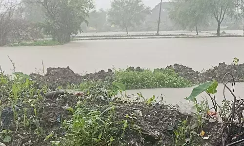 अतिवृष्टि और बाढ़ से भंडारा के 4 हजार 936 हेक्टेयर क्षेत्र की खरीफ फसलें बर्बाद