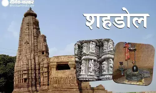 वनकर्मियों से धक्का-मुक्की कर छुड़ा ले गए दो डग्गी, मुरूम का अवैध परिवहन करने वालों का दुस्साहस, रेंजर की शिकायत पर कोतवाली पुलिस ने दर्ज की एफआईआर
