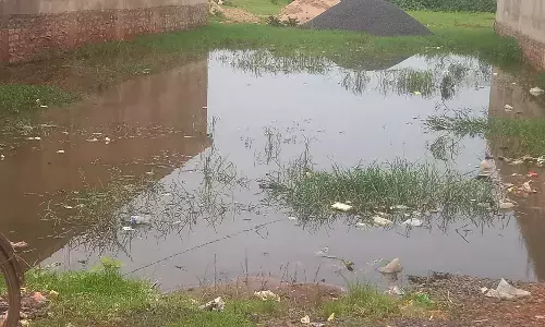 कालोनी व खाली पडे प्लाटों में भरा गंदा पानी, मलेरिया व डेंगू बना खतरा