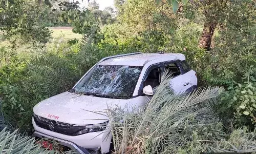 मप्र शासन लिखी तेज रफ्तार कार ने 2 युवकों को मारी ठोकर, एक की मौत