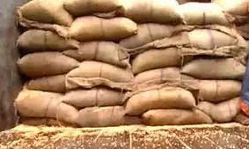 गोंदिया में 35 हजार 249 किसान 20 तक बेच सकते हैं धान, खरीदी चालू