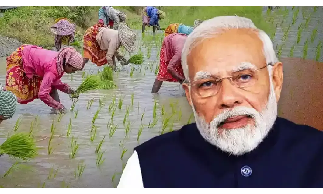 कैबिनेट की प्रधानमंत्री धन-धान्य कृषि योजना को मंजूरी, सालाना 24,000 करोड़ खर्च