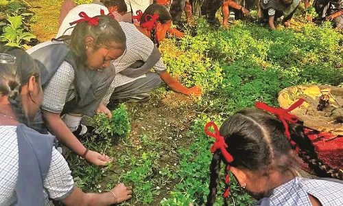 अन्न का महत्व समझाने विद्यालय में बनाया किचन गार्डन, स्कूल के हर छात्र किसान