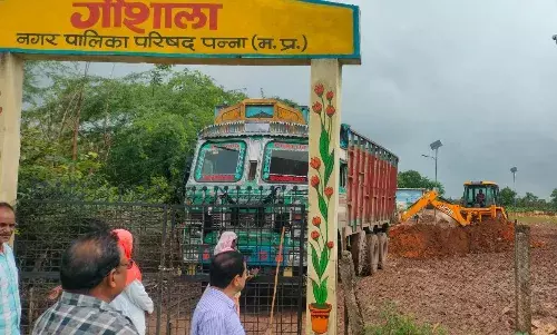 कलेक्टर के निर्देश का हो रहा है पालन, निराश्रित गौवंश को सुरक्षित आश्रय स्थल भेजने की गई कार्रवाई