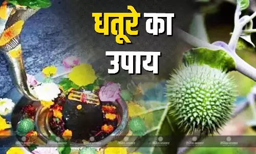 इस सावन जरूर करें धतूरे का ये उपाय, बरसेगी महादेव की कृपा