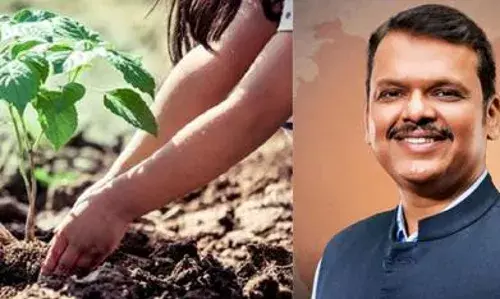 गड़चिरोली में रोपे जाएंगे 40 लाख पौधे, 22 को मुख्यमंत्री व पालकमंत्री करेंगे शुभारंभ