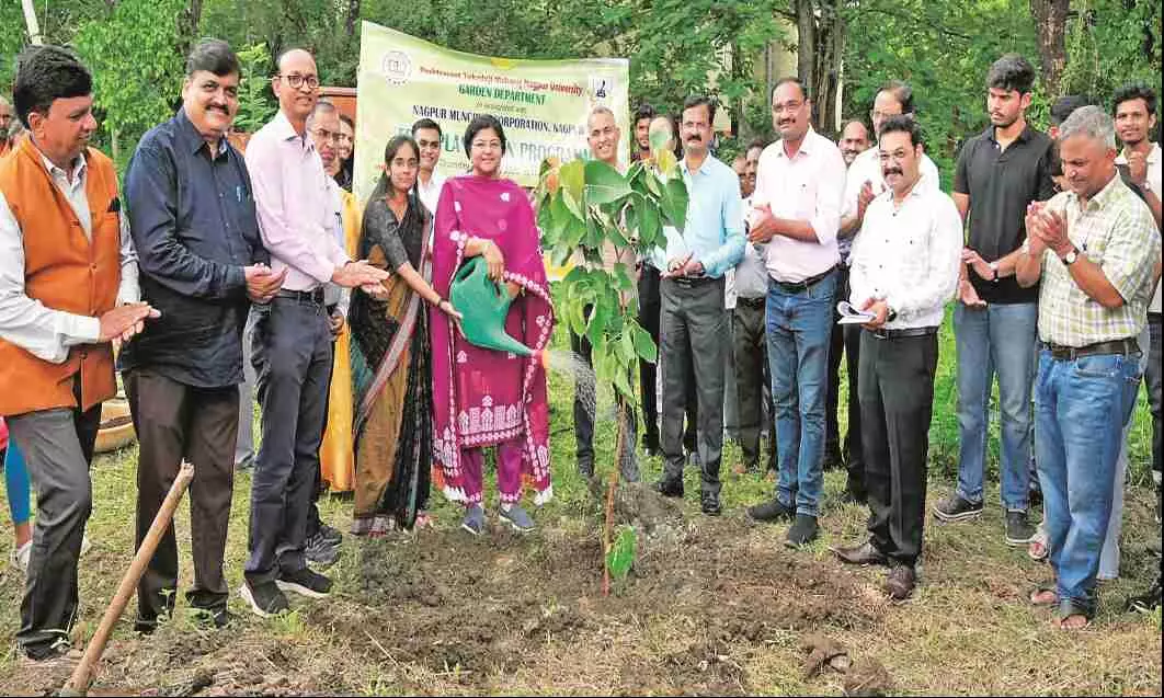 निखरेगा विश्वविद्यालय परिसर, विभिन्न प्रजातियों के 300 पौधे लगाए निखरेगा विश्वविद्यालय परिसर, विभिन्न प्रजातियों के 300 पौधे लगाए