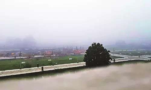 मौसम के 3 रंग - सुबह कोहरा, दोपहर में कड़ी धूप और शाम को बादलों का जमावड़ा