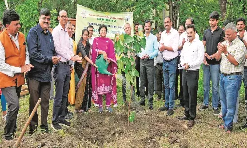 निखरेगा विश्वविद्यालय परिसर, विभिन्न प्रजातियों के 300 पौधे लगाए