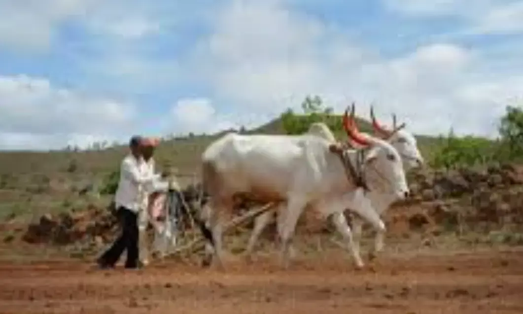 महाराष्ट्र के किसानों पर 2,60,799.90 करोड़ ऋण का बकाया - माफ करने की कोई योजना नहीं