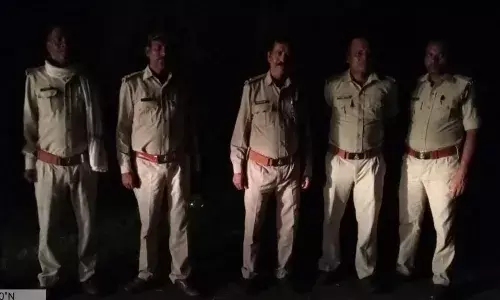 देलाखारी के बाद सौंसर क्षेत्र में बाघ का मूवमेंट, बैल पर किया हमला