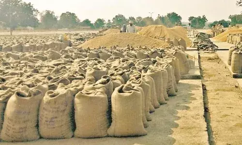 मिलर्स ने रखा पक्ष, सोमवार को कलेक्टर को सौंपी जाएगी रिपोर्ट