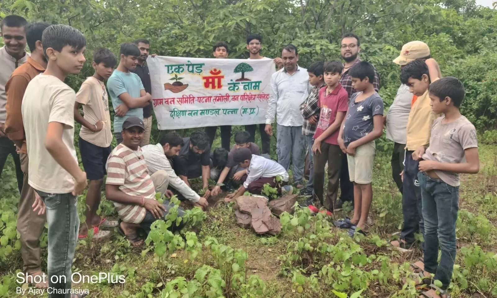 पटना तमोली पहाड पर पौधारोपण कर दिया गया प्रकृति संरक्षण का संदेश, दक्षिण वन मंडल के सलेहा वन परिक्षेत्र की प्रेरणादायक पहल पटना तमोली पहाड पर पौधारोपण कर दिया गया प्रकृति संरक्षण का संदेश, दक्षिण वन मंडल के सलेहा वन परिक्षेत्र की प्रेरणादायक पहल