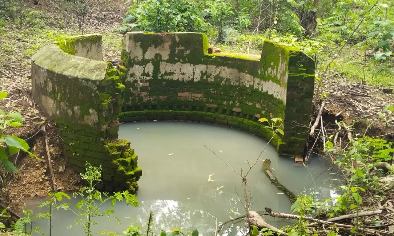 वन्यजीवों के साथ राहगीरों के लिए खंडहर कुआं बना खतरा
