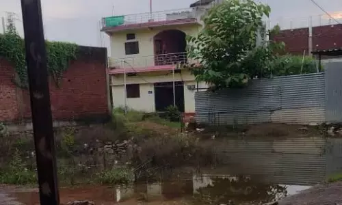 बारिश के पानी से वार्ड क्रमांक ११ में हो रहा जलभराव, रहवासी परेशान