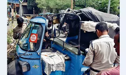 बीच सड़क पर घोड़े भिड़े, एक जा घुसा रिक्शे में, सवारी घायल