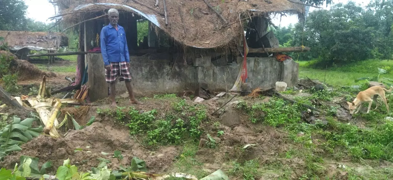 टस्कर हाथियों ने गडचिरोली के रामपुर में मचाया उत्पात टस्कर हाथियों ने गडचिरोली के रामपुर में मचाया उत्पात