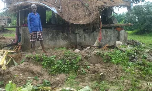 टस्कर हाथियों ने गडचिरोली के रामपुर में मचाया उत्पात