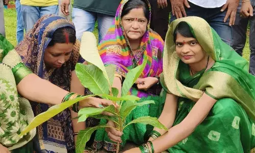 नगर पालिका परिषद के तत्वाधान में कचरा प्रसंस्करण में किया गया पौधारोपण